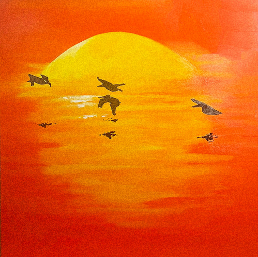 Pelicans at Sunset