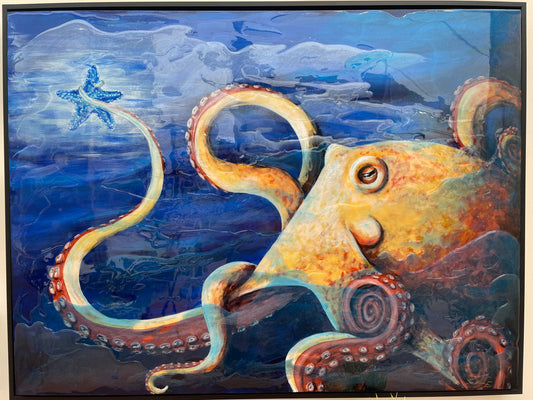 Starcatcher