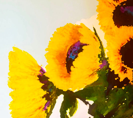 Sunflowers